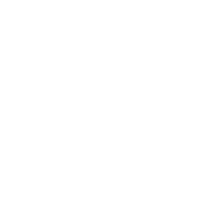Audit and Assurance